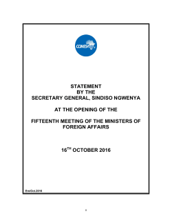 speech-by-secretary-general-of-comesa-during-the-opening-of