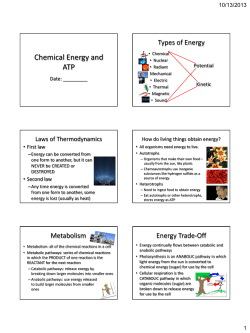 Chemical Energy and ATP