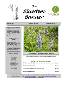 Bluestem Banner - Tallgrass Ontario
