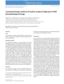 Automated image analysis of nuclear atypia in high