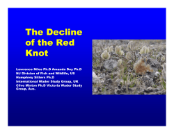 The Decline of the Red Knot