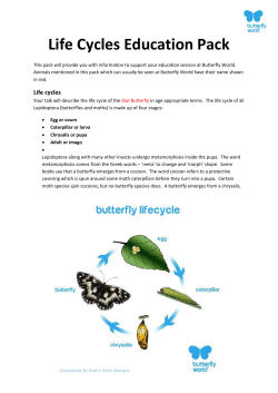 Life Cycles Education Pack