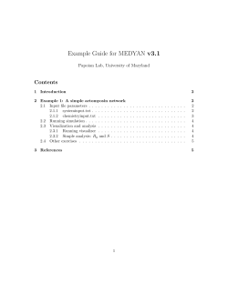 Example Guide for MEDYAN v3.1