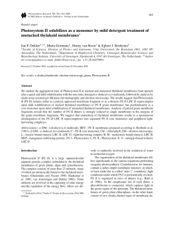 Photosystem II solubilizes as a monomer by mild detergent