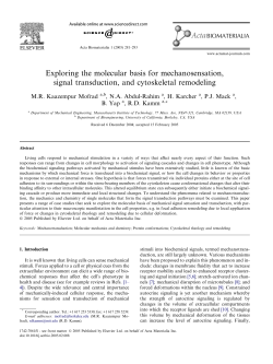 Exploring the molecular basis for mechanosensation, signal
