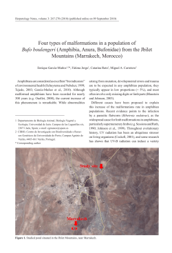 Four types of malformations in a population of Bufo boulengeri