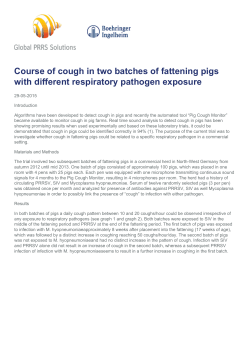 Course of cough in two batches of fattening pigs with different
