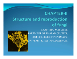 r.kavitha, m.pharm, lecturer, department of