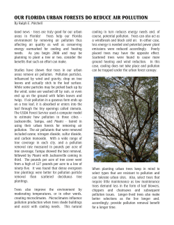 Our Florida Urban Forests Do Reduce Air Pollution