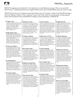 PRIZMNE Segments