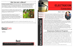 ElectriComments Spring 2016