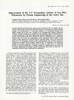Improvement of the 3`-5` Exonuclease Activity of Taq DNA