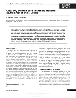 Occupancy and mechanism in antibody