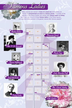 Famous Ladies - The Peony Garden