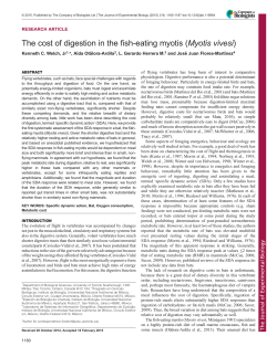 The cost of digestion in the fish-eating myotis (Myotis vivesi)