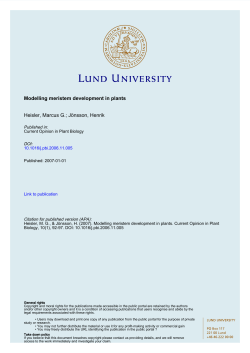 Modelling Meristem Development in Plants