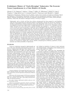 Evolutionary History of ``Early-Diverging`` Eukaryotes: The Excavate