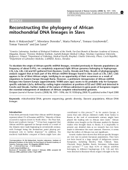 Reconstructing the phylogeny of African mitochondrial DNA