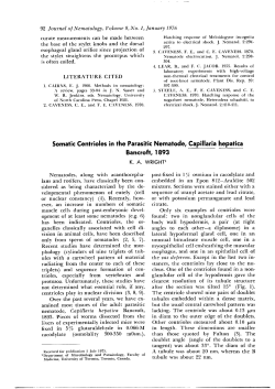 Somatic Centrioles in the Parasitic Nematode