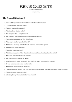 as PDF