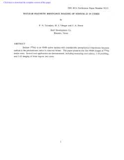 1991: Nuclear Magnetic Resonance Imaging of Sodium