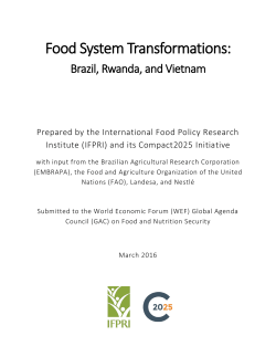 Food System Transformations - WEF