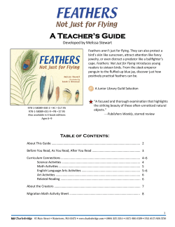 A Teacher`s Guide