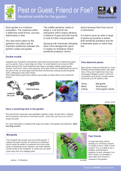 Pest or Guest, Friend or Foe? - Gloucestershire Wildlife Trust