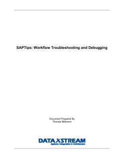 SAPTips: Workflow Troubleshooting and Debugging