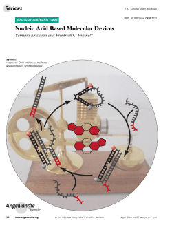 Nucleic Acid Based Molecular Devices