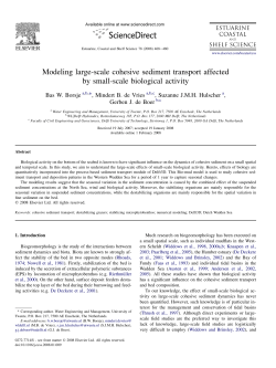 Modeling large-scale cohesive sediment transport affected by small