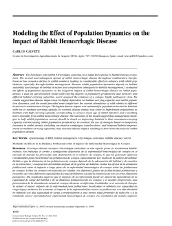 Modeling the Effect of Population Dynamics on the Impact of Rabbit