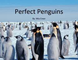 Perfect Penguins - davis.k12.ut.us