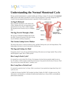 Understanding the Normal Menstrual Cycle