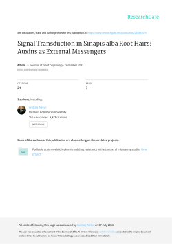 Signal Transduction in Sinapis alba Root Hairs: Auxins as External