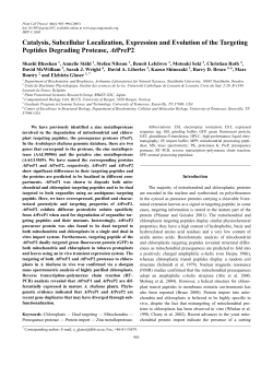 Catalysis, Subcellular Localization, Expression and Evolution of the