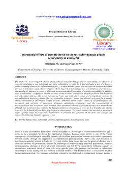 Durational effects of chronic stress on the testicular