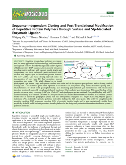 Sequence-Independent Cloning and Post