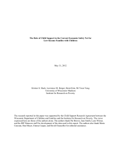 "types of economic hardship and child protection system involvement"