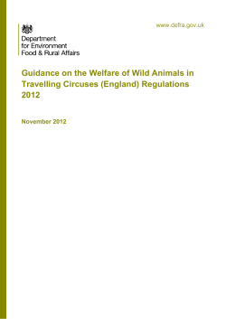 Guidance on the Welfare of Wild Animals in Travelling Circuses