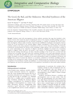 The Good, the Bad, and the Unknown: Microbial Symbioses of the