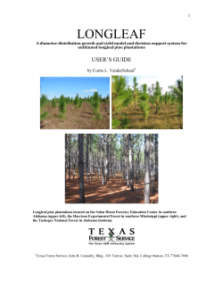 Texas TFS - America`s Longleaf Restoration Initiative