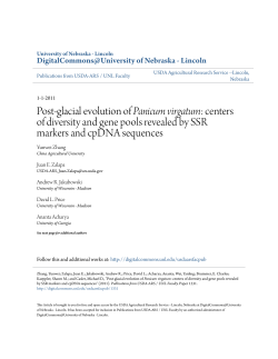 Post-glacial evolution of Panicum virgatum: centers of diversity and