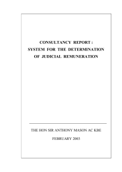 consultancy report : system for the determination of judicial