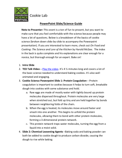 File  - Science Festival Alliance