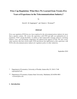 Price Cap Regulation: What Have We Learned