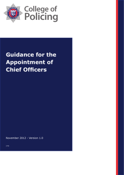 Guidance for the Appointment of Chief Officers