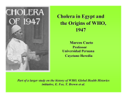 Presentation - World Health Organization