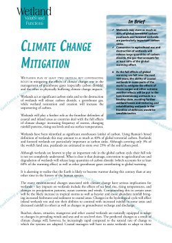 English Ramsar Fact Sheets