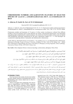chromosome numbers and karyotype features of selected species of
